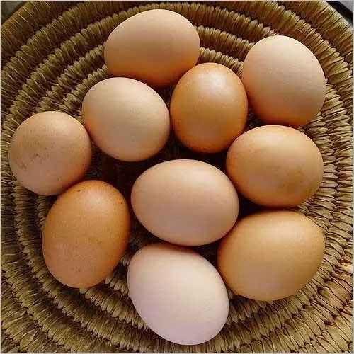organic desi eggs