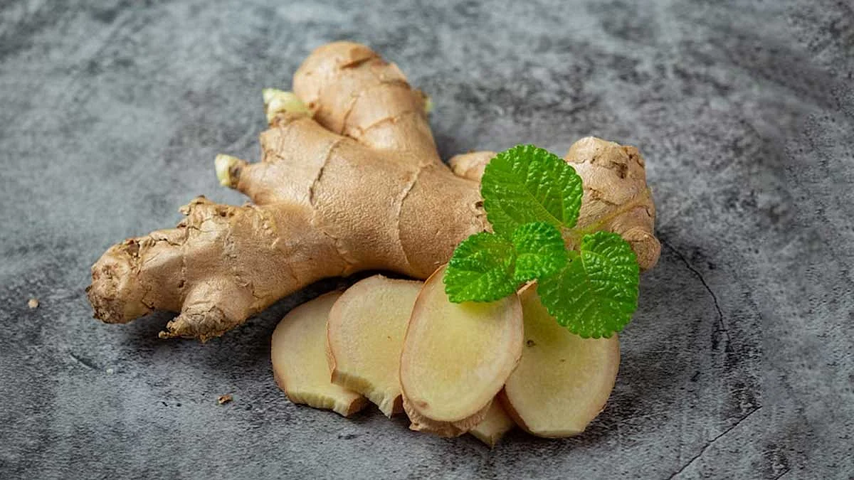 ginger benefits and uses