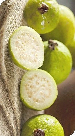 guava 12