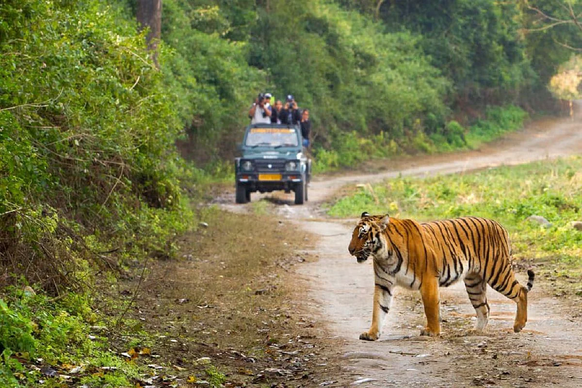 jim corbett 2