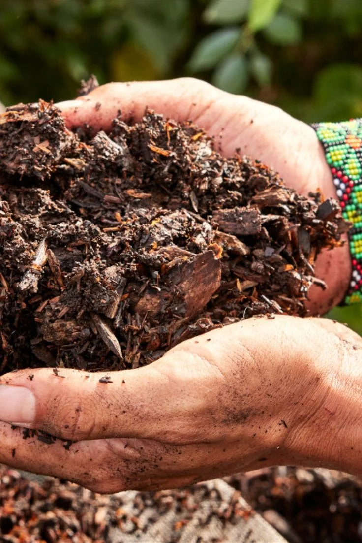 How to Make Compost