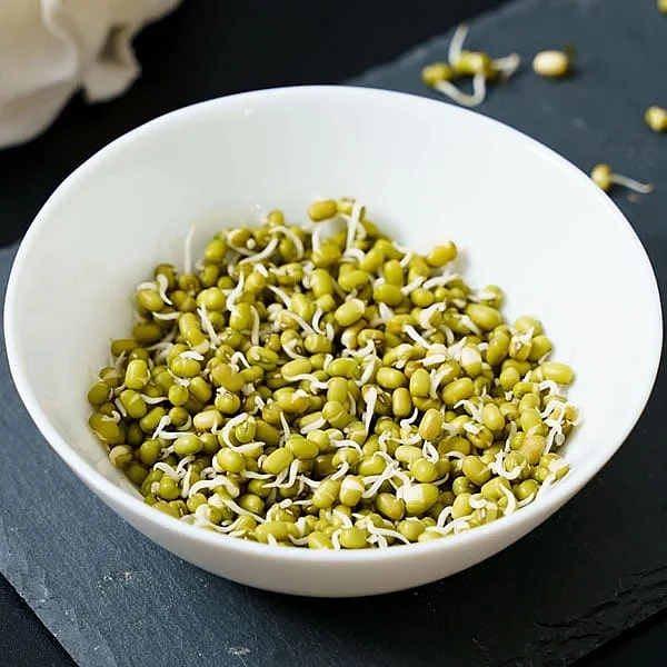 mung bean sprouts 1