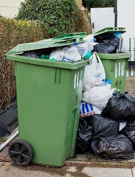 Garbage Container Cleaning Commercial and Residential