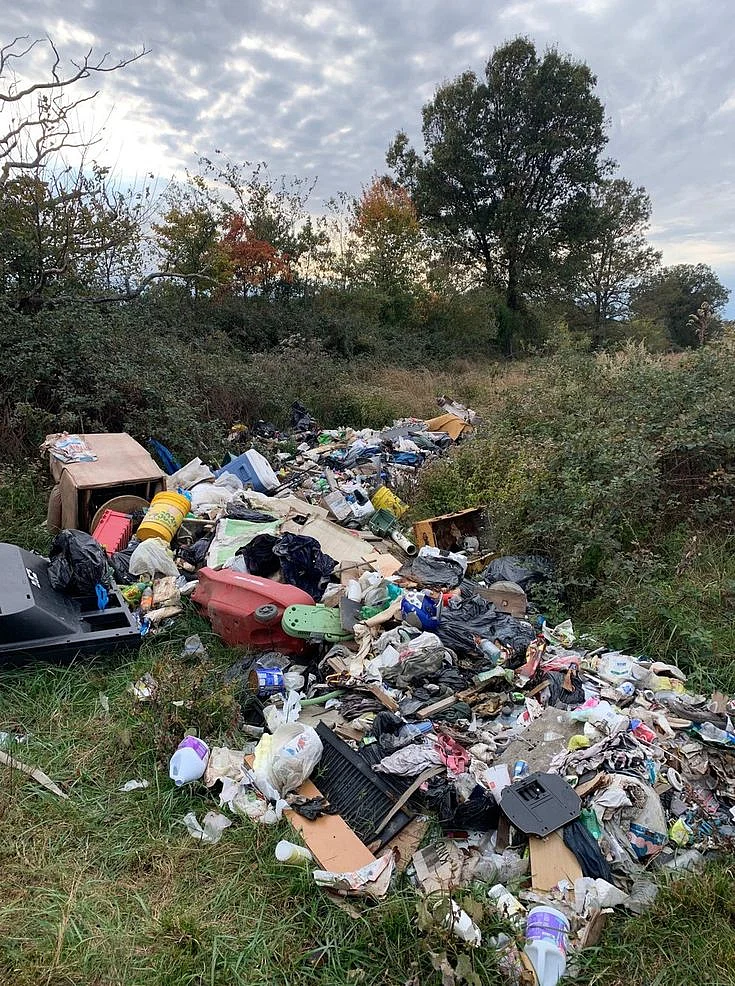 Illegal dumping investigation underway in Graves Co after cattle sickened