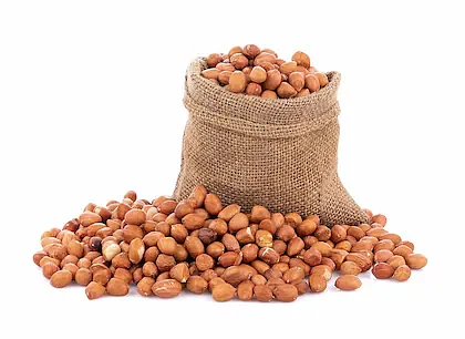 aplently raw peanut whole groundnut moongfali mungfali dana 200g product images orvwuzomovu p6027929