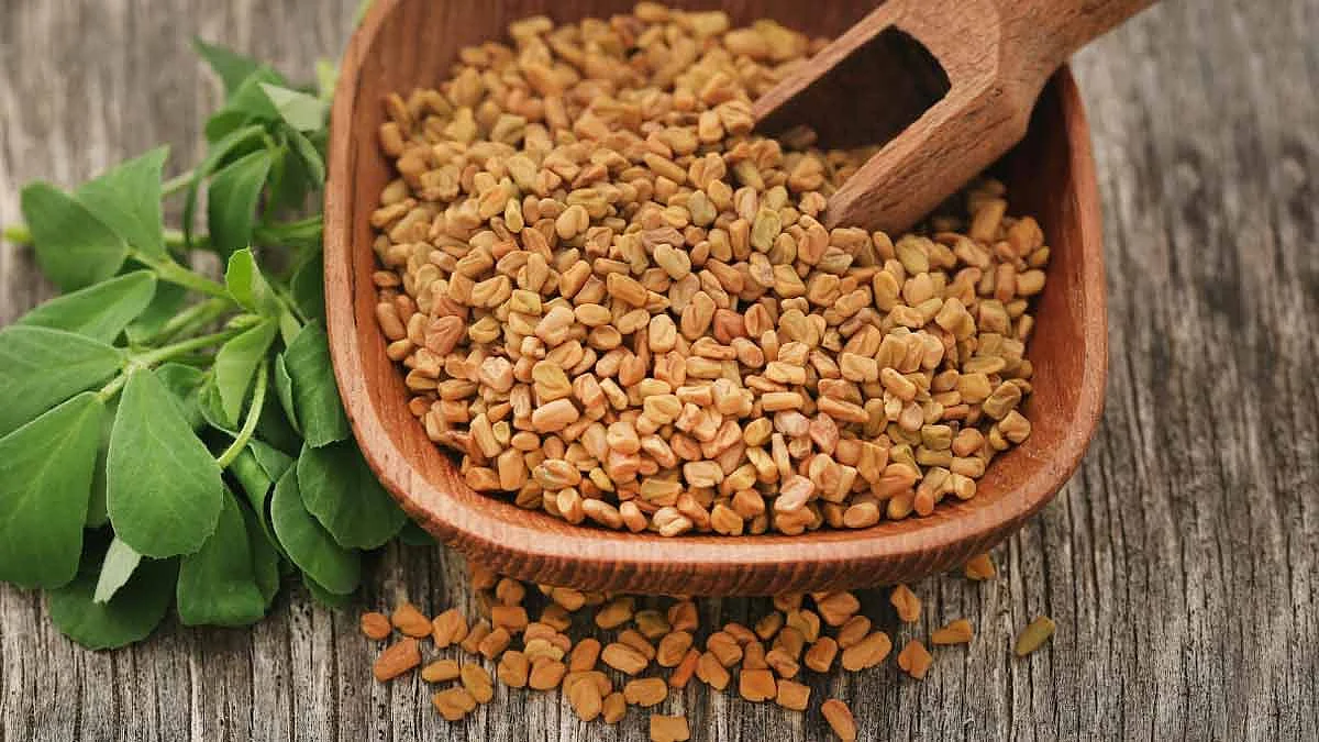 fenugreek side effects