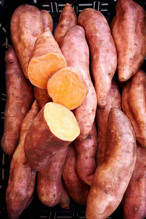 sweet potato