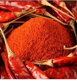 Shani Dev 6