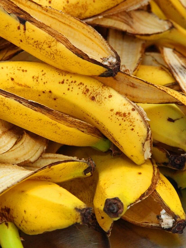Why Banana Peels Are The Secret Ingredient Your Garden Needs Homestead How To