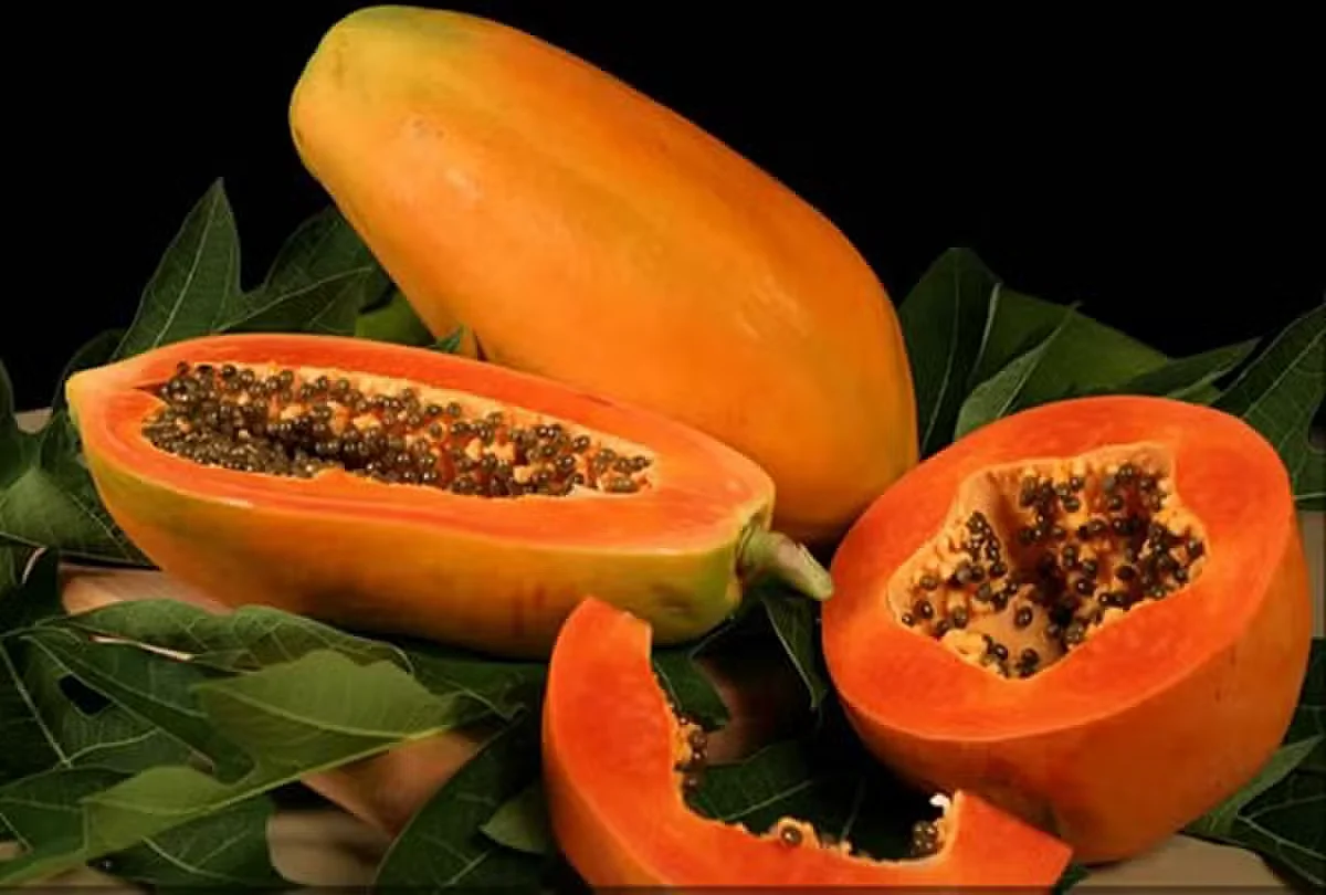 papaya1515406745