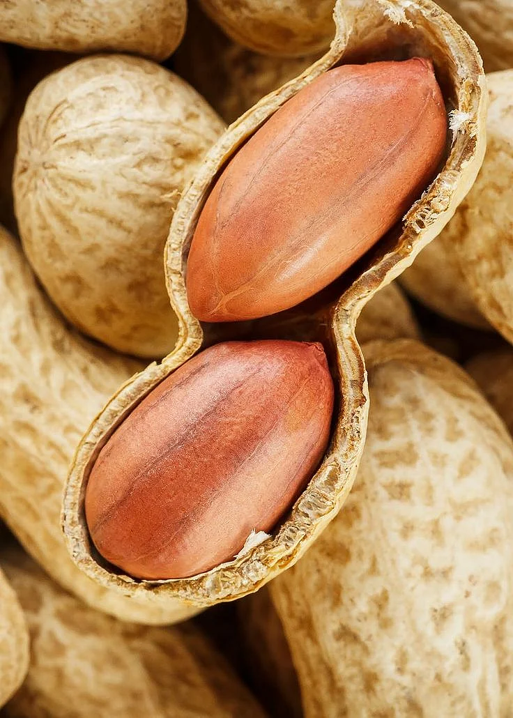 Peeled peanut on well peanuts