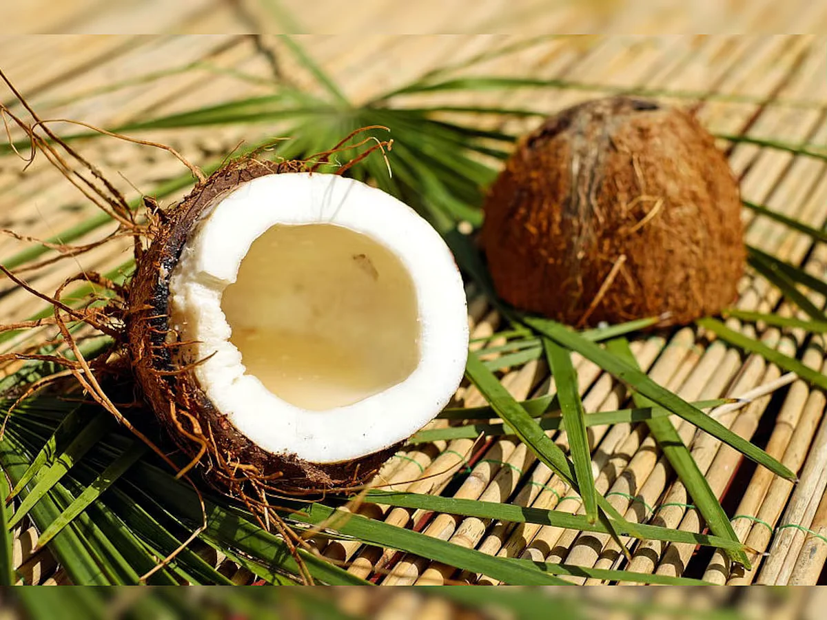coconut feature1