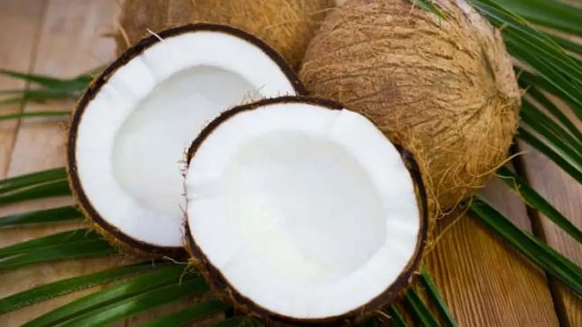 World Coconut DayVjpg 1280x720 4g