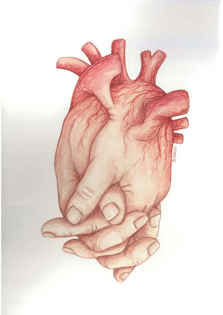 1st International Organ Donation Cartoon Contest