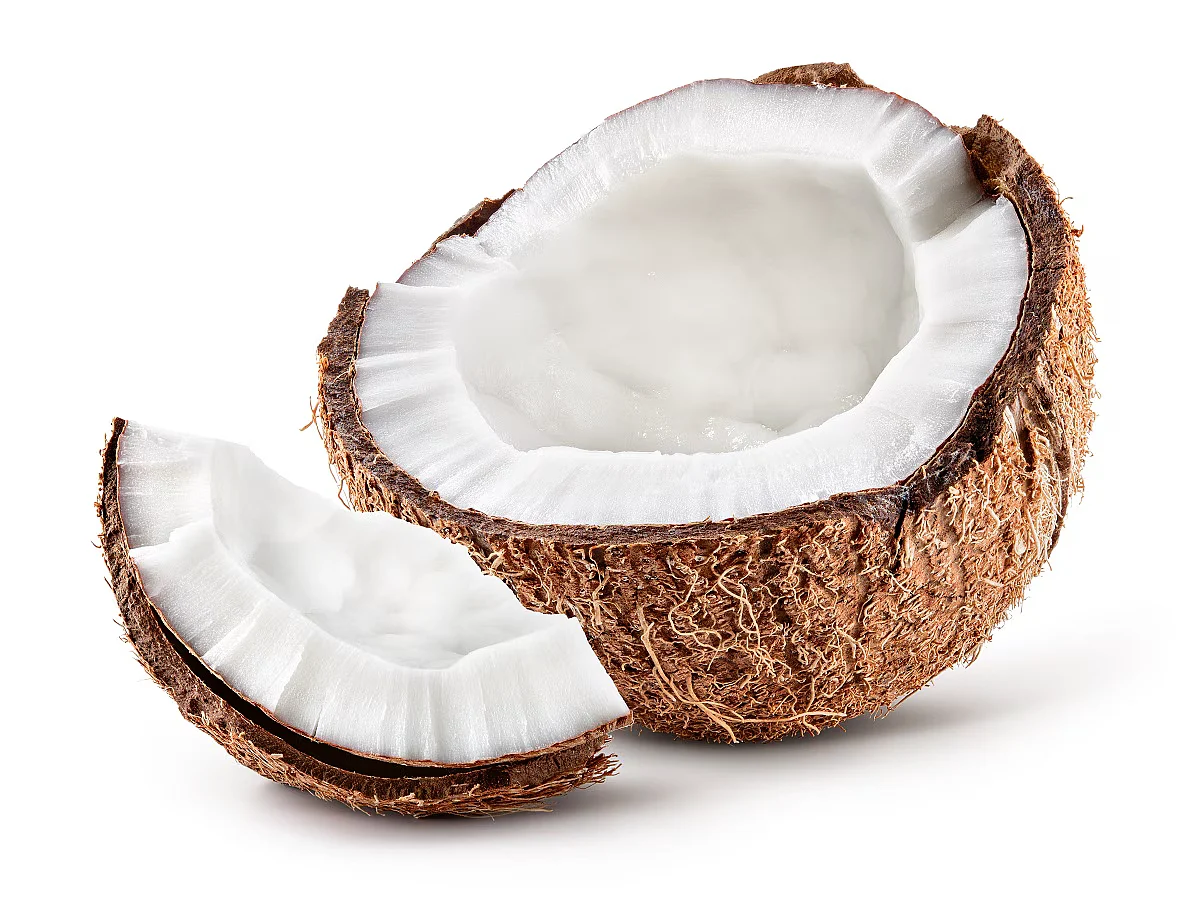 shutterstock1435521665