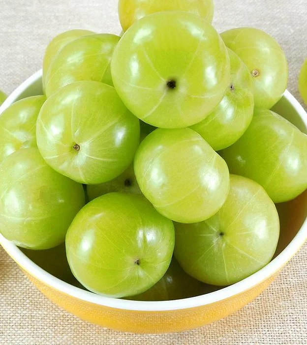 amla 5