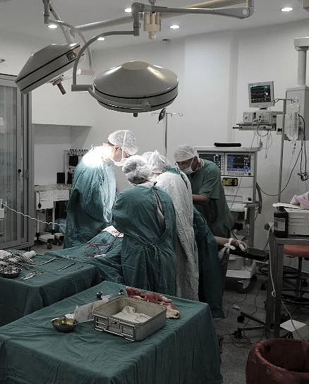 Organ Donation