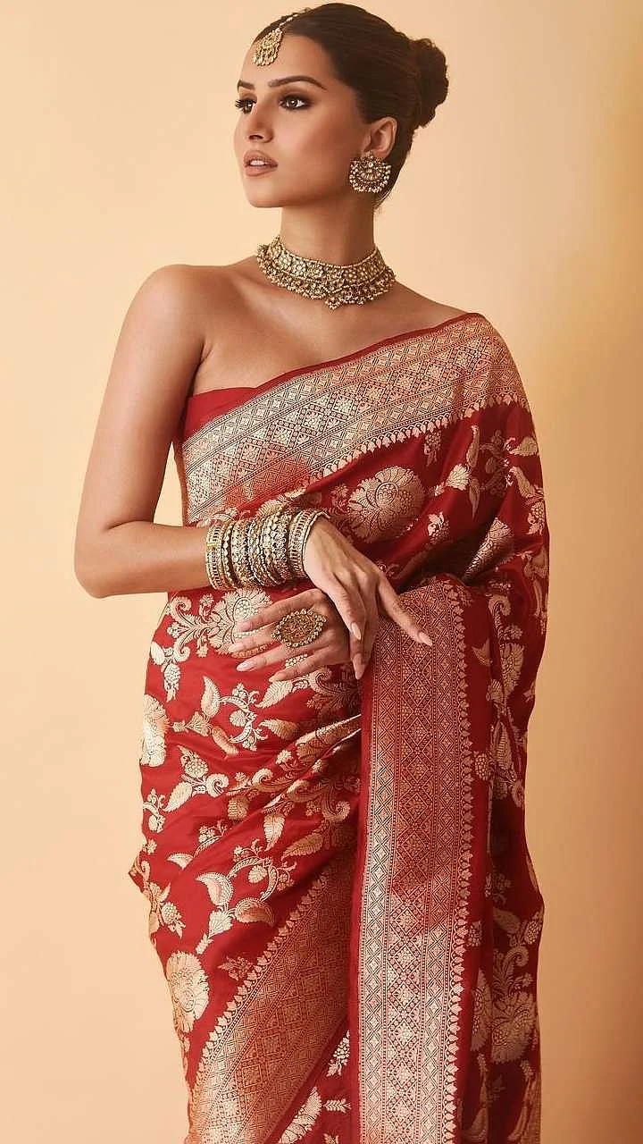 tara sutaria saree