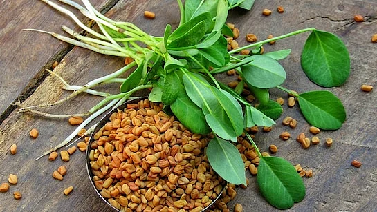 saag1