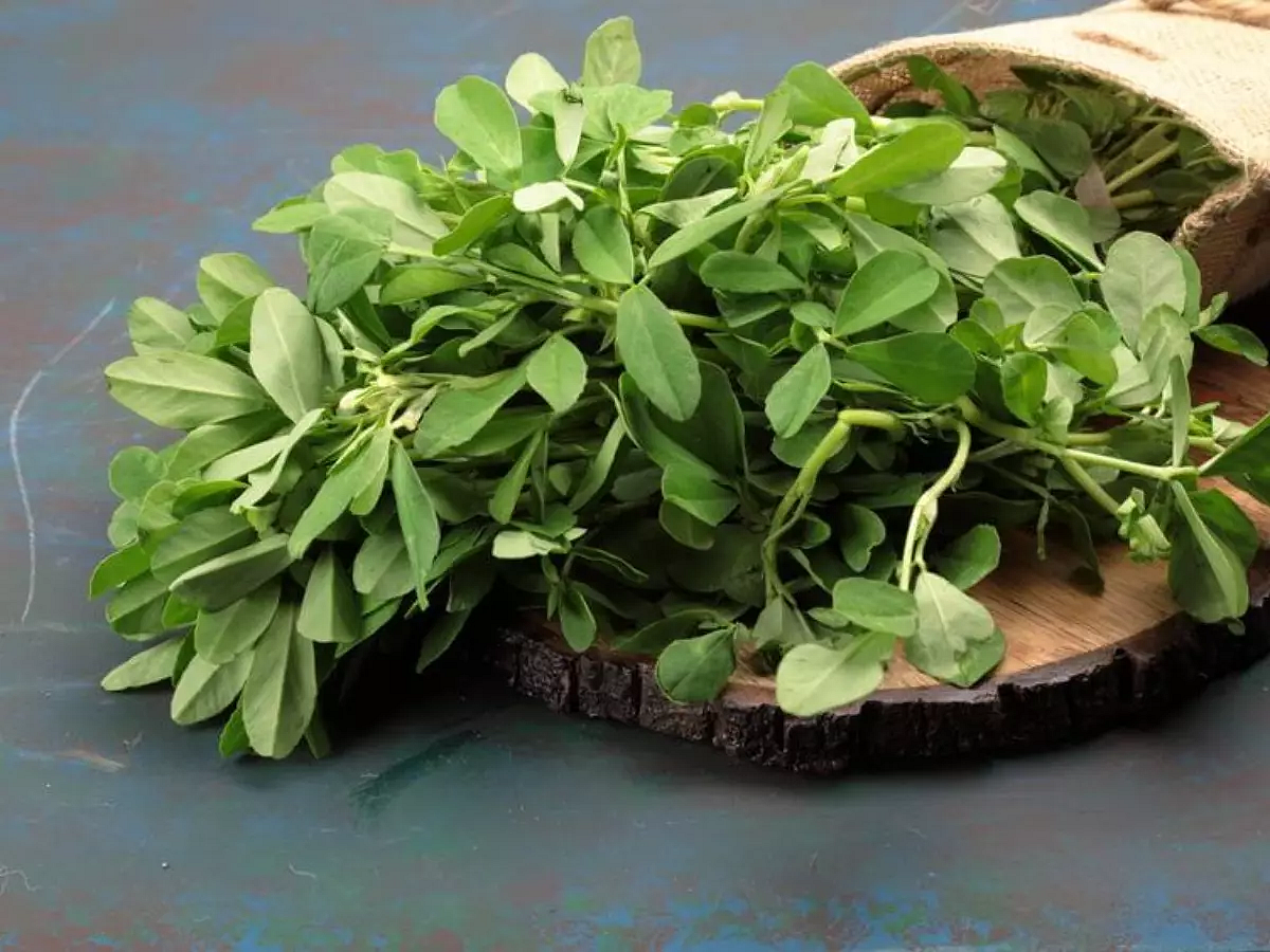 saag6