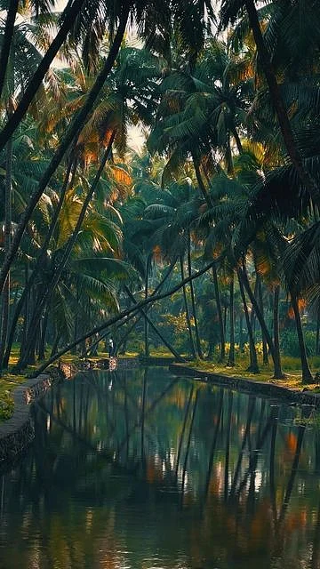 Ameer on Instagram 📍 Thambankadavu…
