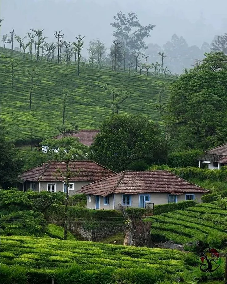 📍Kurangumudi Valparai Tamil Nadu in India 🇮🇳