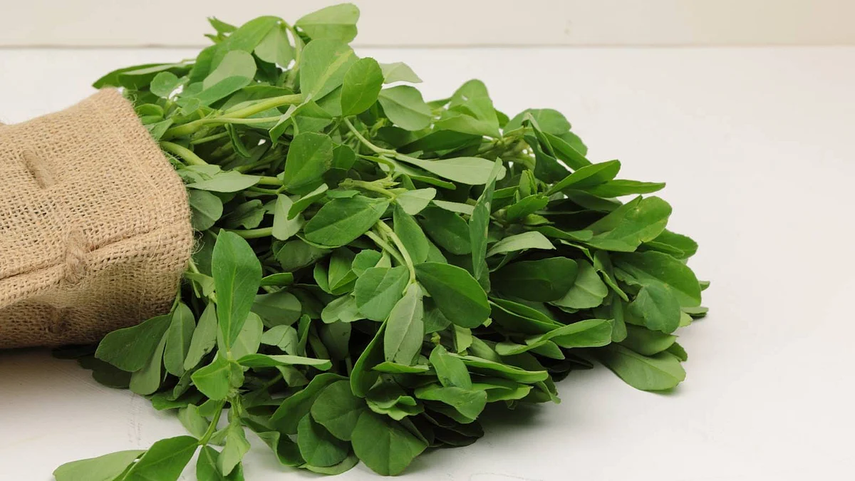 saag9