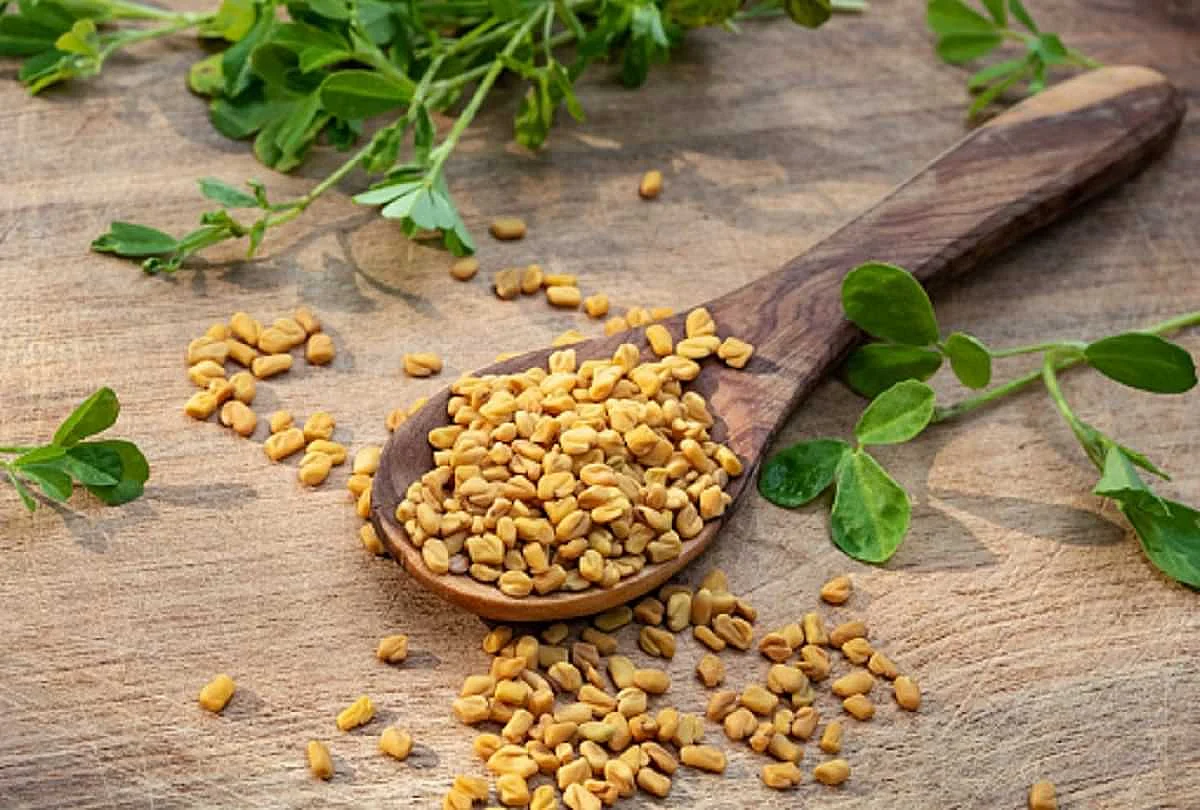methi8