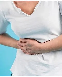 Kidney 6