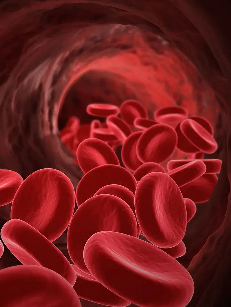 Eisenmangel Kräuterblut oder Eisentabletten