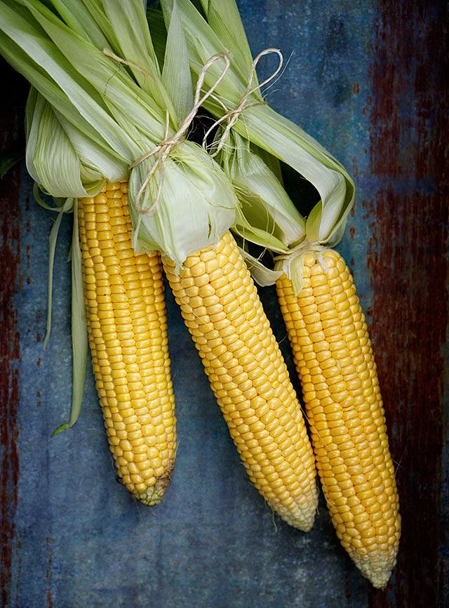 corn