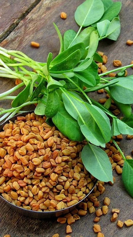 methi9