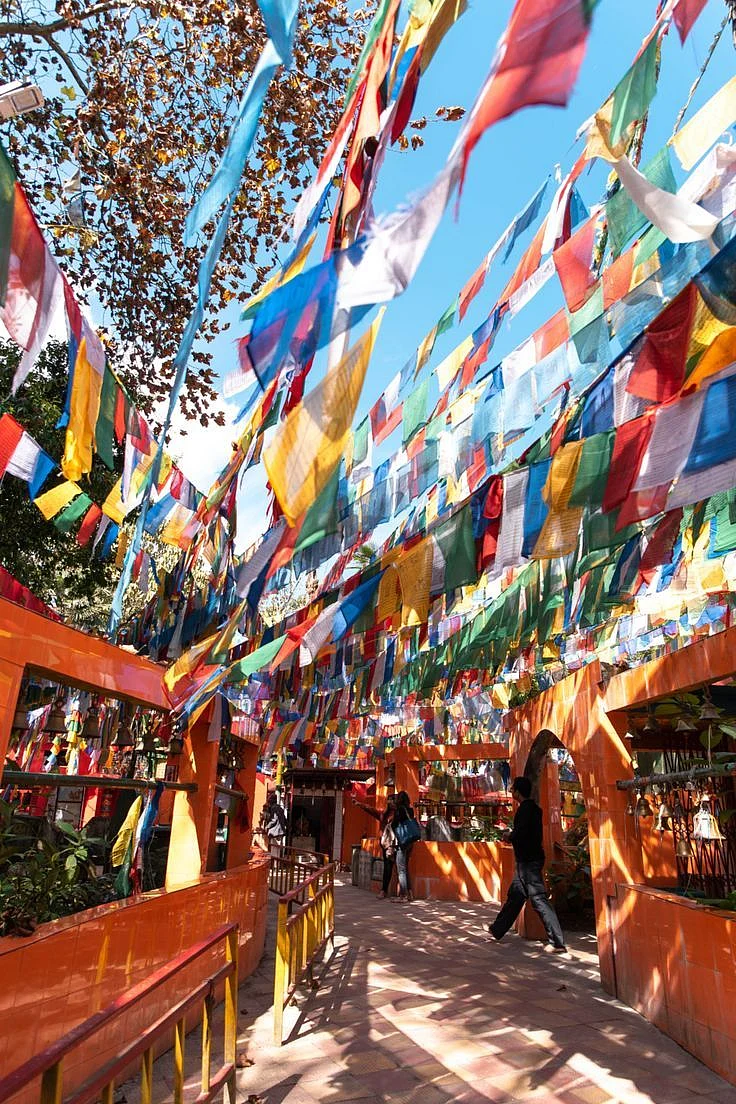 Slice of Sikkim