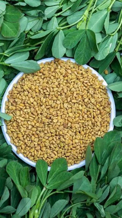 saag3