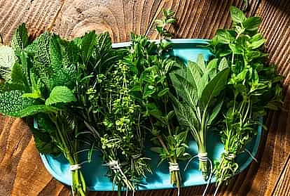 saag5