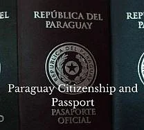 Passport 11