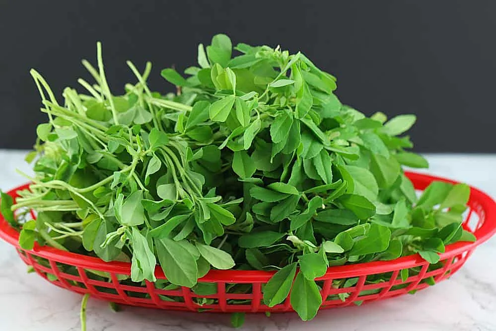 saag4