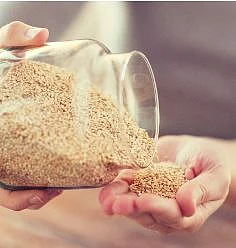 Winter Best Food 4