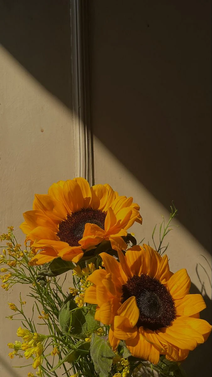 for my sunshine