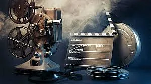 FLIM 3