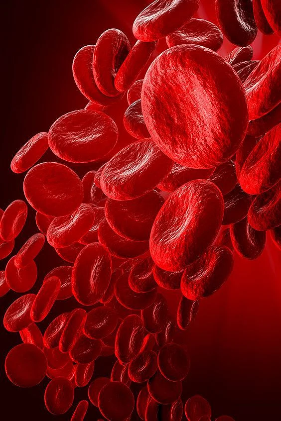 Red Blood Cells Blood Cells Anemia Healthy Red Blood Cells Art Biology Human Cells Artwork