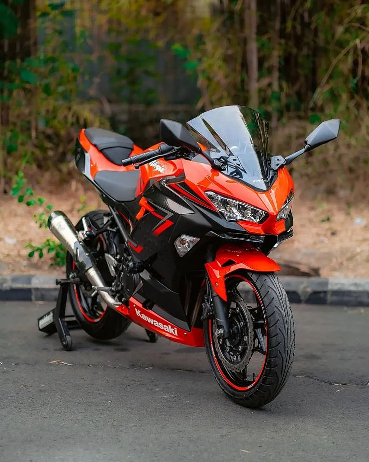 KAWASAKI NEW NINJA 250 FI ABS SE