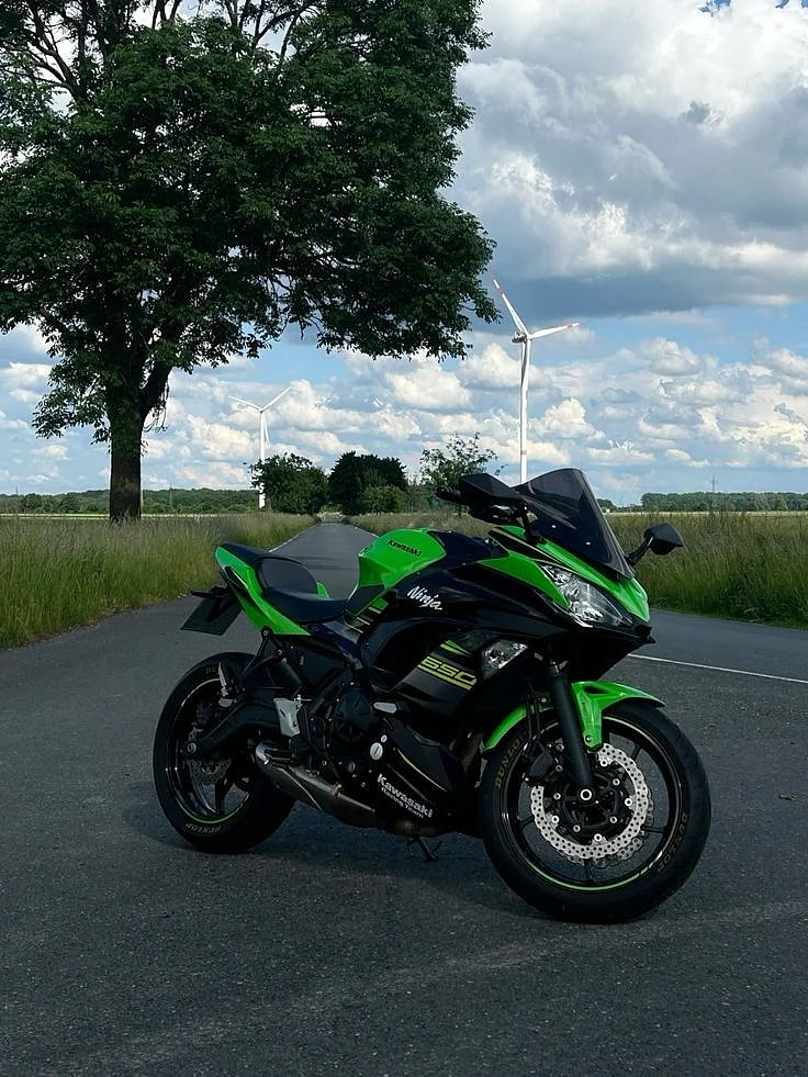 Kawasaki Ninja 300
