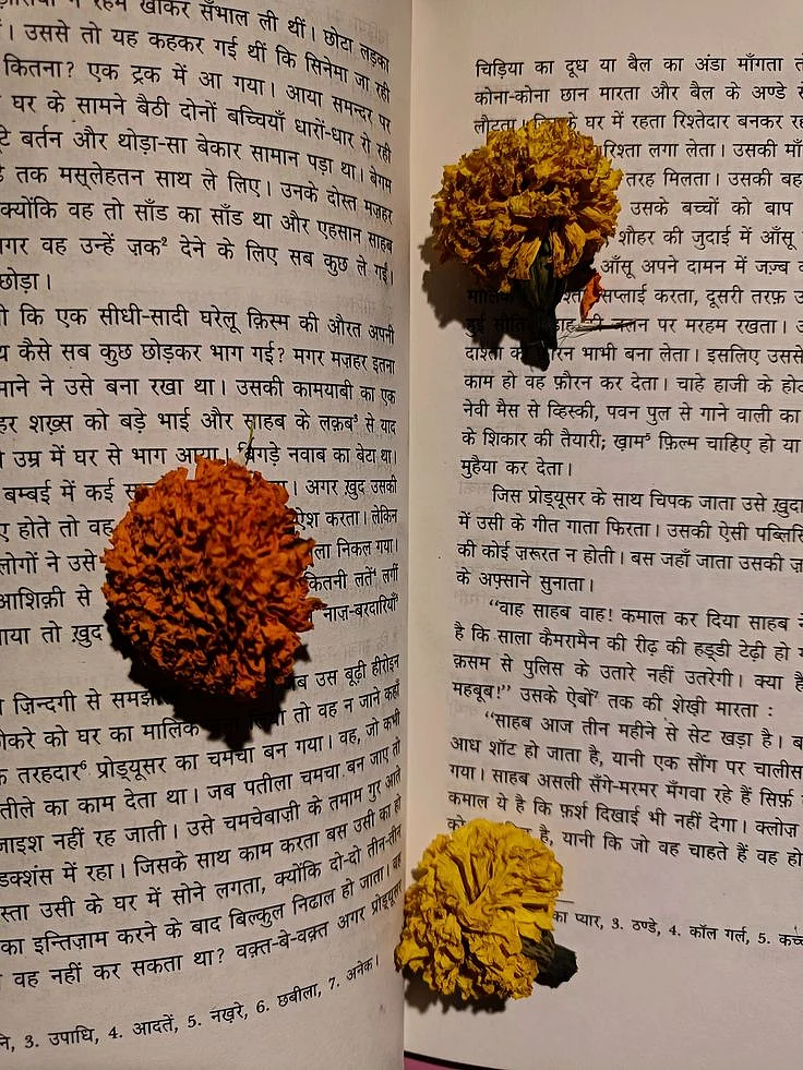 Hindi Literature