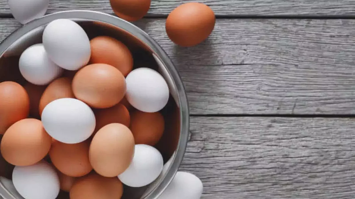 if you have any doubt for the right time to eat eggs know all information here 115451215