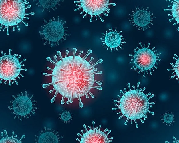 dinga dinga virus r