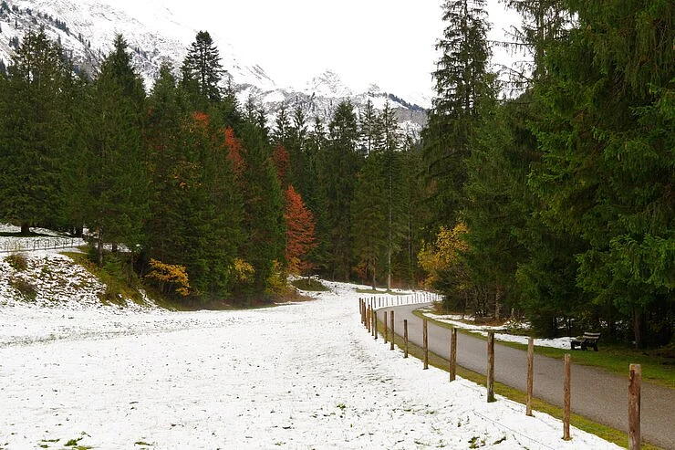 snowfall