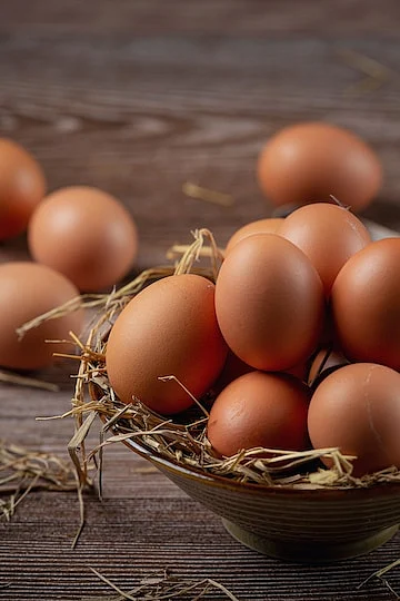 EGGS 2