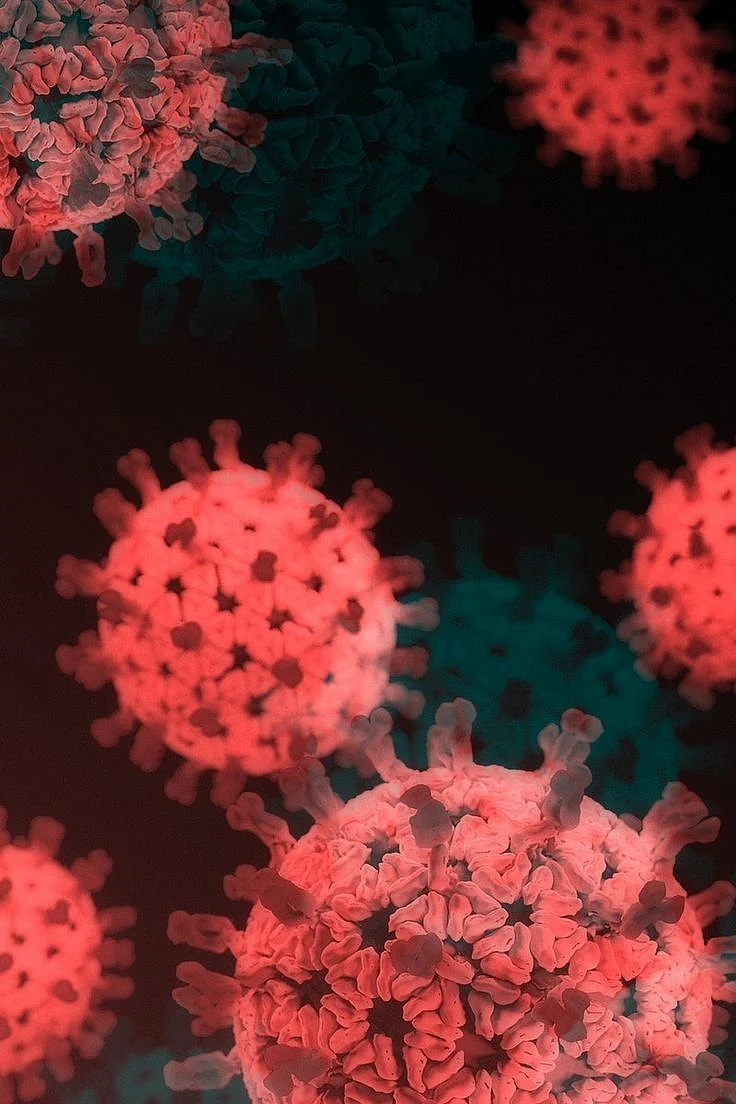 dinga dinga virus 6u