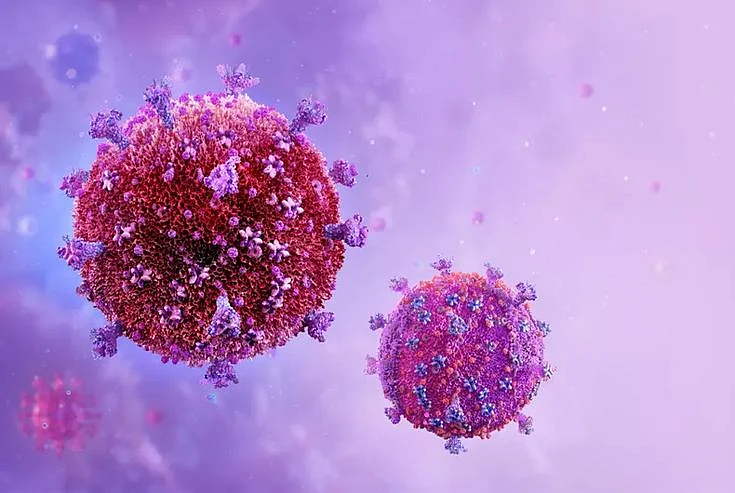 dinga dinga virus 4